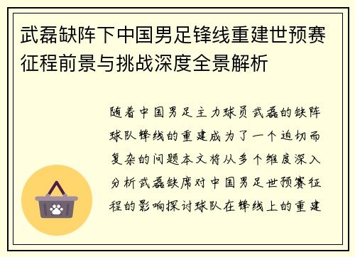 武磊缺阵下中国男足锋线重建世预赛征程前景与挑战深度全景解析